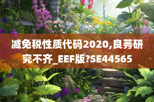 减免税性质代码2020,良莠研究不齐_EEF版?SE44565