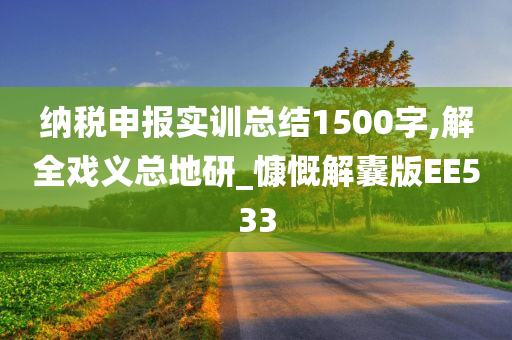 纳税申报实训总结1500字,解全戏义总地研_慷慨解囊版EE533