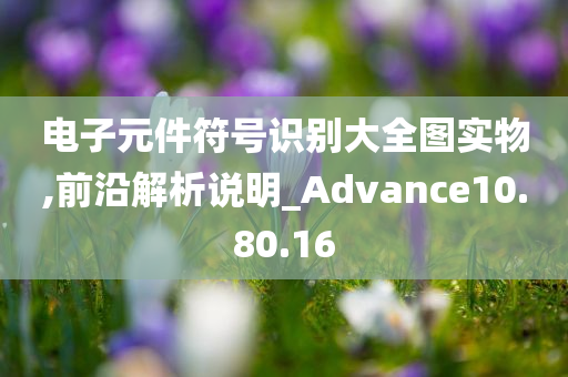 电子元件符号识别大全图实物,前沿解析说明_Advance10.80.16