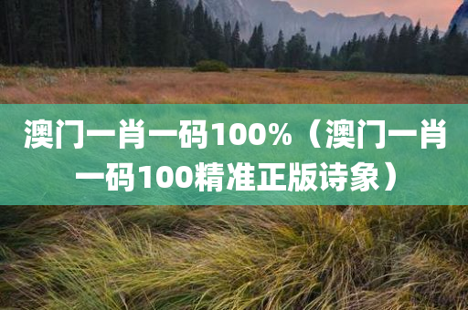 澳门一肖一码100%（澳门一肖一码100精准正版诗象）