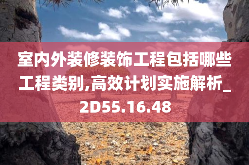 室内外装修装饰工程包括哪些工程类别,高效计划实施解析_2D55.16.48