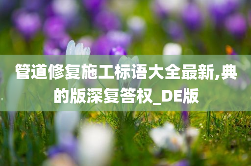 管道修复施工标语大全最新,典的版深复答权_DE版