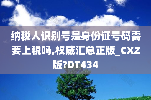 纳税人识别号是身份证号码需要上税吗,权威汇总正版_CXZ版?DT434