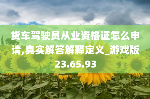 货车驾驶员从业资格证怎么申请,真实解答解释定义_游戏版23.65.93