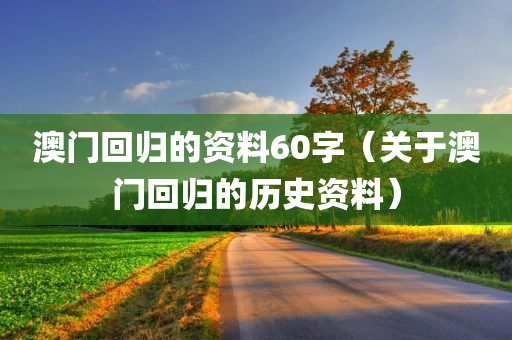 澳门回归的资料60字（关于澳门回归的历史资料）