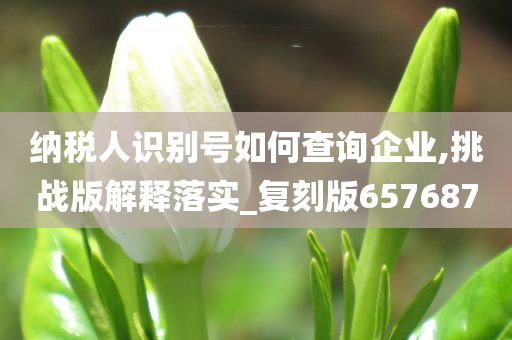 纳税人识别号如何查询企业,挑战版解释落实_复刻版657687