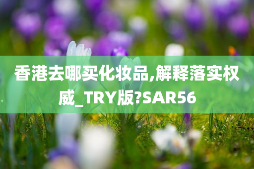 香港去哪买化妆品,解释落实权威_TRY版?SAR56