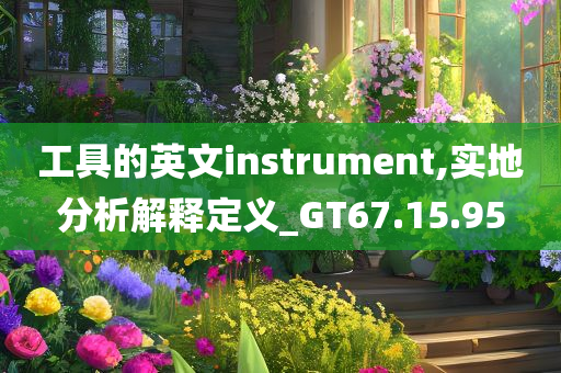 工具的英文instrument,实地分析解释定义_GT67.15.95