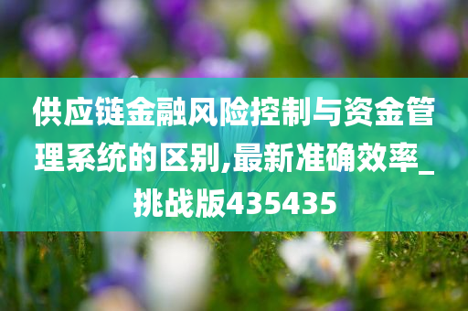 供应链金融风险控制与资金管理系统的区别,最新准确效率_挑战版435435