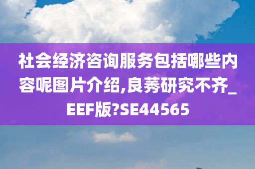 社会经济咨询服务包括哪些内容呢图片介绍,良莠研究不齐_EEF版?SE44565