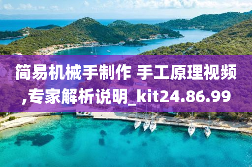 简易机械手制作 手工原理视频,专家解析说明_kit24.86.99