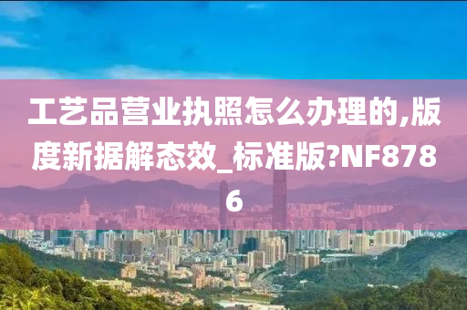 工艺品营业执照怎么办理的,版度新据解态效_标准版?NF8786