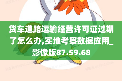 货车道路运输经营许可证过期了怎么办,实地考察数据应用_影像版87.59.68