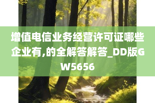 增值电信业务经营许可证哪些企业有,的全解答解答_DD版GW5656