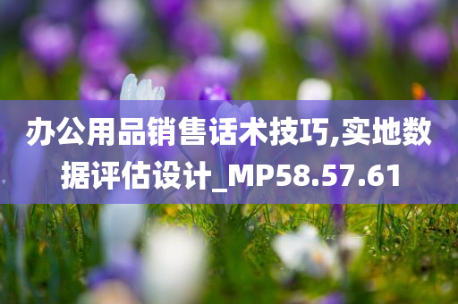 办公用品销售话术技巧,实地数据评估设计_MP58.57.61