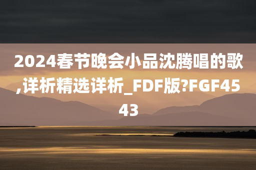 2024春节晚会小品沈腾唱的歌,详析精选详析_FDF版?FGF4543