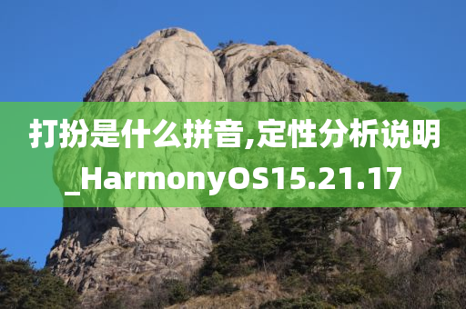 打扮是什么拼音,定性分析说明_HarmonyOS15.21.17