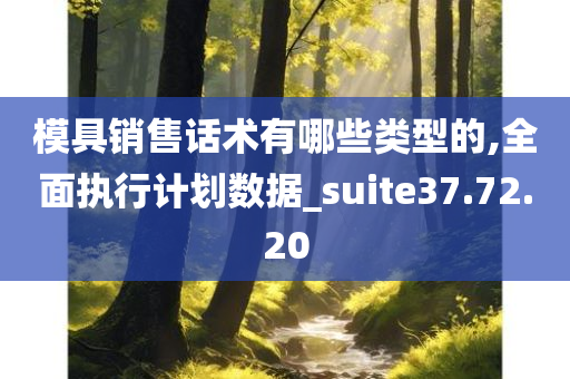 模具销售话术有哪些类型的,全面执行计划数据_suite37.72.20