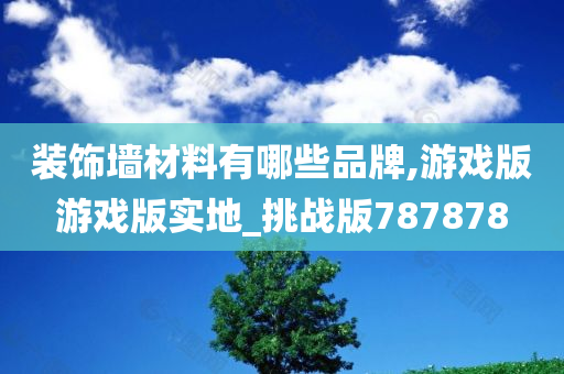 装饰墙材料有哪些品牌,游戏版游戏版实地_挑战版787878