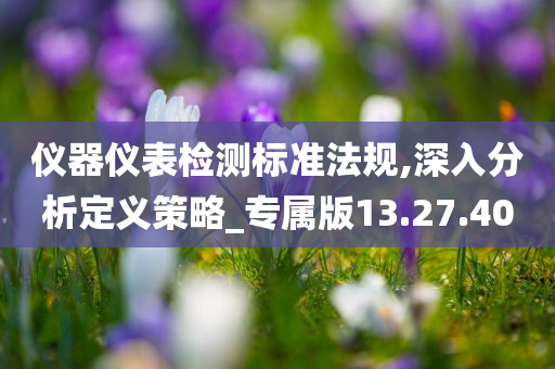 仪器仪表检测标准法规,深入分析定义策略_专属版13.27.40