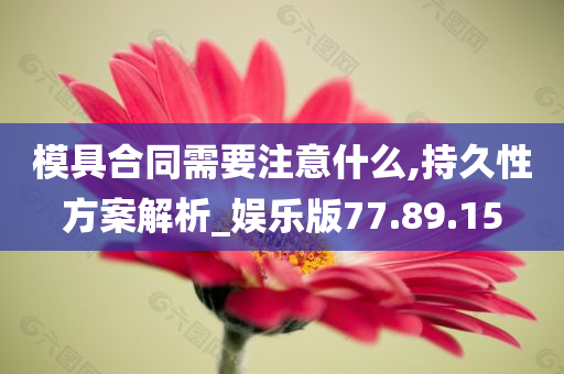 模具合同需要注意什么,持久性方案解析_娱乐版77.89.15