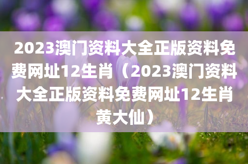 2023澳门资料大全正版资料免费网址12生肖（2023澳门资料大全正版资料免费网址12生肖黄大仙）