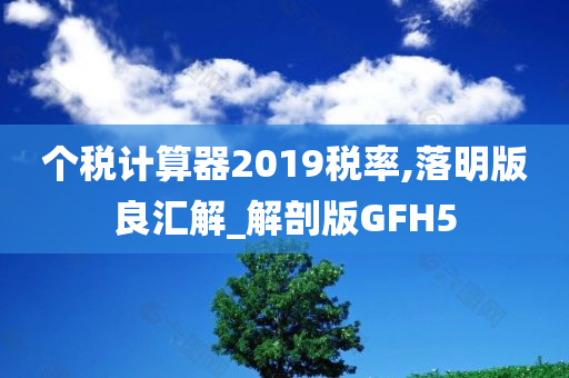 个税计算器2019税率,落明版良汇解_解剖版GFH5