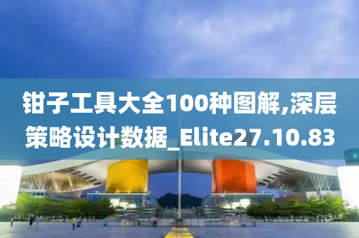 钳子工具大全100种图解,深层策略设计数据_Elite27.10.83