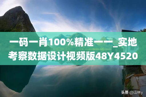 一码一肖100%精准一一_实地考察数据设计视频版48Y4520