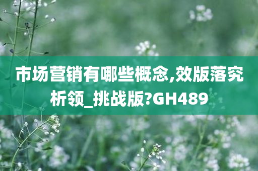 市场营销有哪些概念,效版落究析领_挑战版?GH489