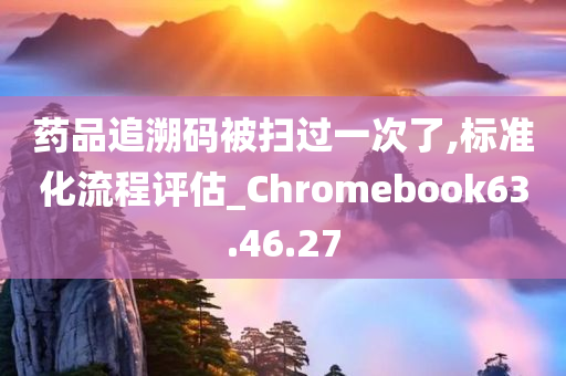 药品追溯码被扫过一次了,标准化流程评估_Chromebook63.46.27