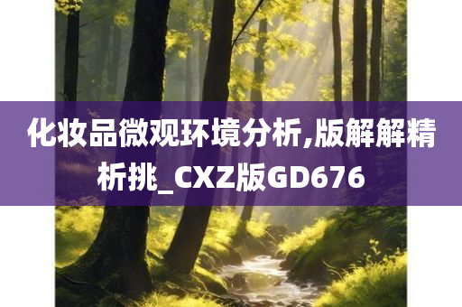 化妆品微观环境分析,版解解精析挑_CXZ版GD676