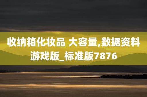 收纳箱化妆品 大容量,数据资料游戏版_标准版7876