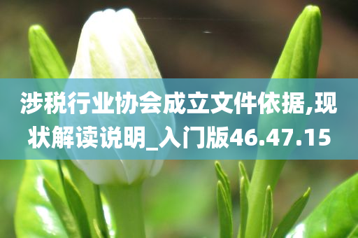 涉税行业协会成立文件依据,现状解读说明_入门版46.47.15