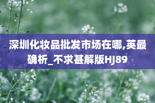 深圳化妆品批发市场在哪,英最确析_不求甚解版HJ89