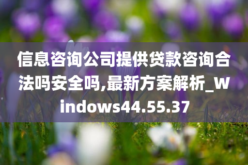 信息咨询公司提供贷款咨询合法吗安全吗,最新方案解析_Windows44.55.37