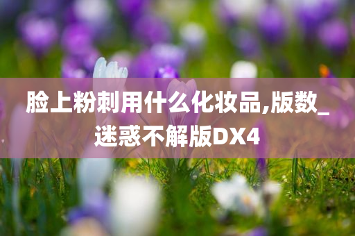 脸上粉刺用什么化妆品,版数_迷惑不解版DX4