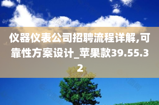 仪器仪表公司招聘流程详解,可靠性方案设计_苹果款39.55.32