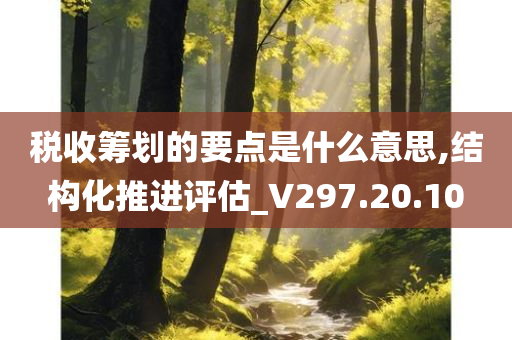 税收筹划的要点是什么意思,结构化推进评估_V297.20.10