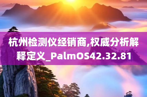 杭州检测仪经销商,权威分析解释定义_PalmOS42.32.81