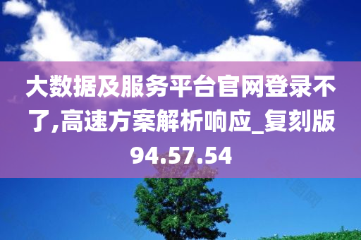 大数据及服务平台官网登录不了,高速方案解析响应_复刻版94.57.54