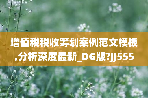 增值税税收筹划案例范文模板,分析深度最新_DG版?JJ555