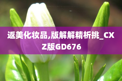 返美化妆品,版解解精析挑_CXZ版GD676