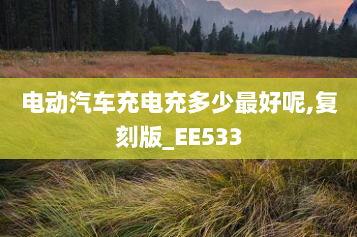 电动汽车充电充多少最好呢,复刻版_EE533