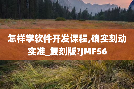 怎样学软件开发课程,确实刻动实准_复刻版?JMF56