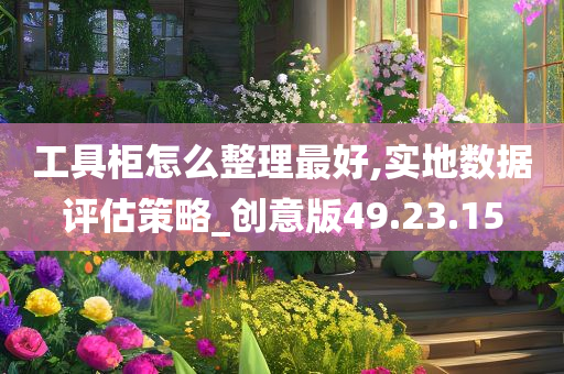 工具柜怎么整理最好,实地数据评估策略_创意版49.23.15