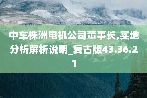 中车株洲电机公司董事长,实地分析解析说明_复古版43.36.21