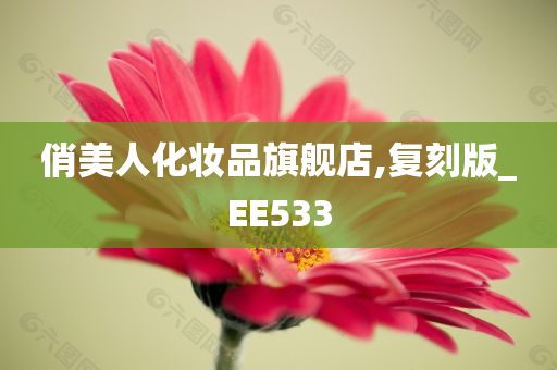 俏美人化妆品旗舰店,复刻版_EE533