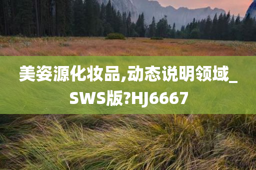 美姿源化妆品,动态说明领域_SWS版?HJ6667