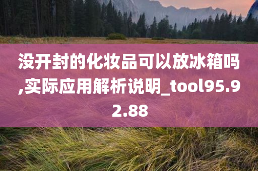 没开封的化妆品可以放冰箱吗,实际应用解析说明_tool95.92.88